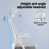 Artiss Ergonomic Office Chair Computer Desk Chairs Headrest Adjustable Grey