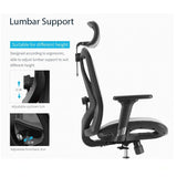 Sihoo M57 Ergonomic Office Chair, Computer Chair Desk Chair High Back Chair Breathable,3D Armrest and Lumbar Support Grey without Footrest