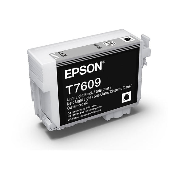 Epson 760 Lgt Lgt Black Ink Cartridge 